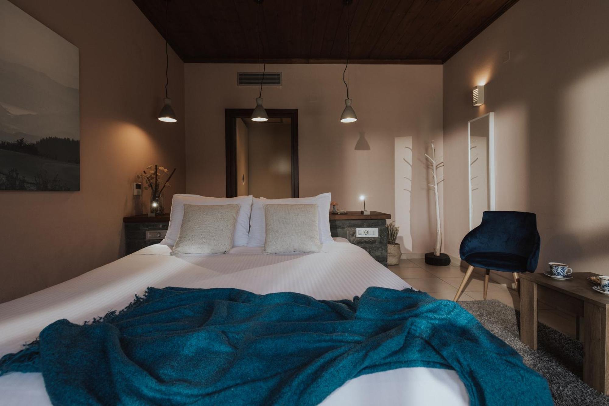Rouista Tzoumerka Resort Vourgareli Pokoj fotografie