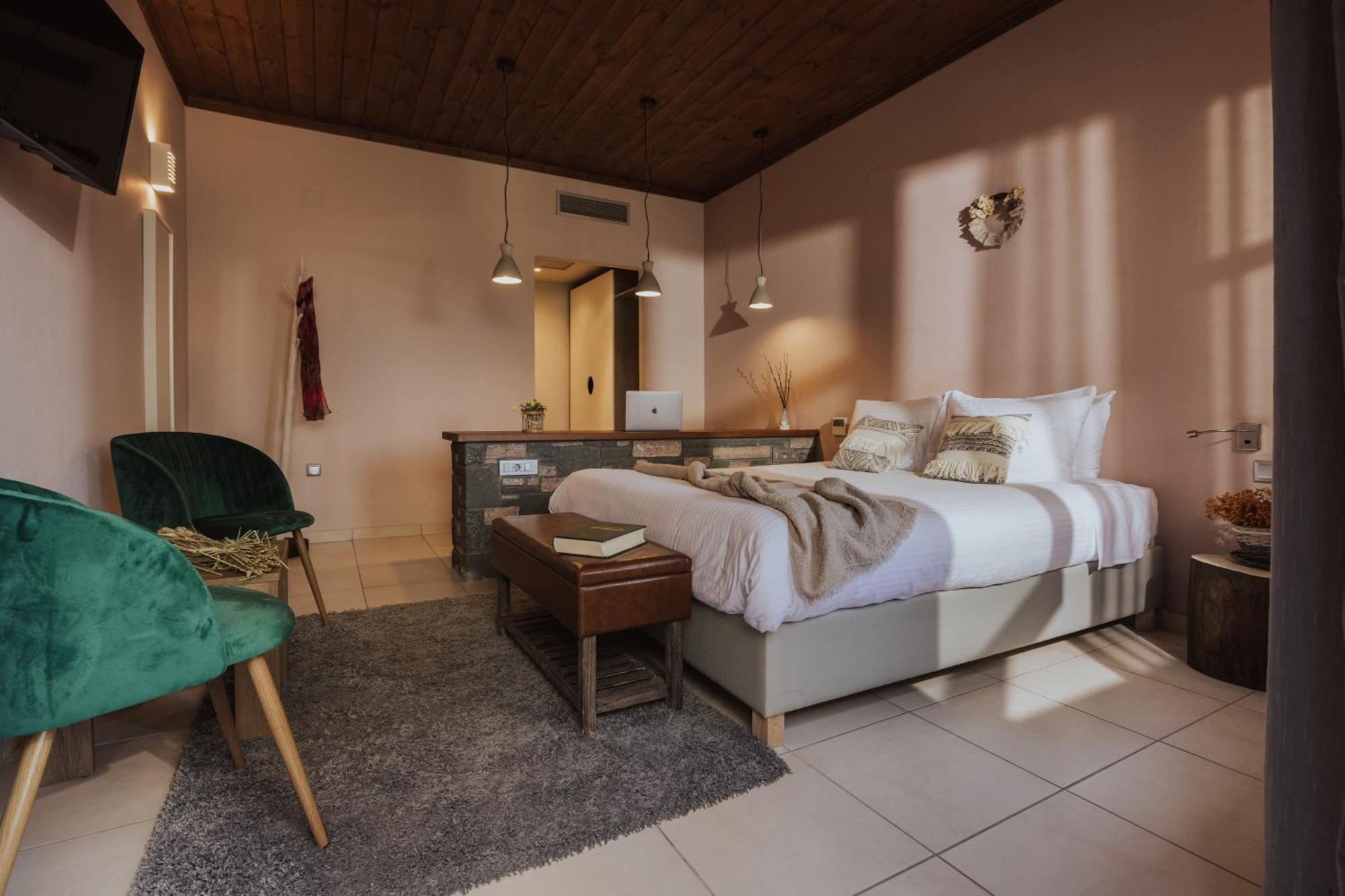Rouista Tzoumerka Resort Vourgareli Pokoj fotografie